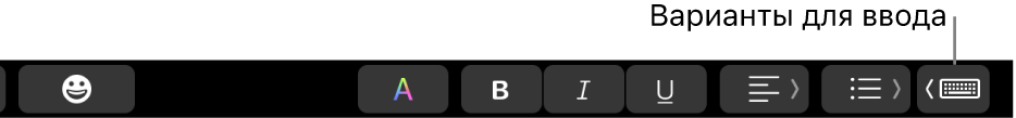 Кнопка «Варианты для ввода» в&nbsp;панели Touch&nbsp;Bar.