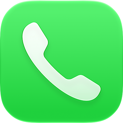 The Phone icon
