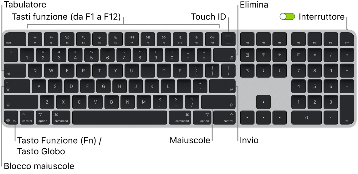 La tastiera Magic&nbsp;Keyboard con Touch&nbsp;ID e tastierino numerico che mostra i tasti funzione e Touch&nbsp;ID in alto e il tasto Funzione (Fn)/Globo in basso a sinistra.