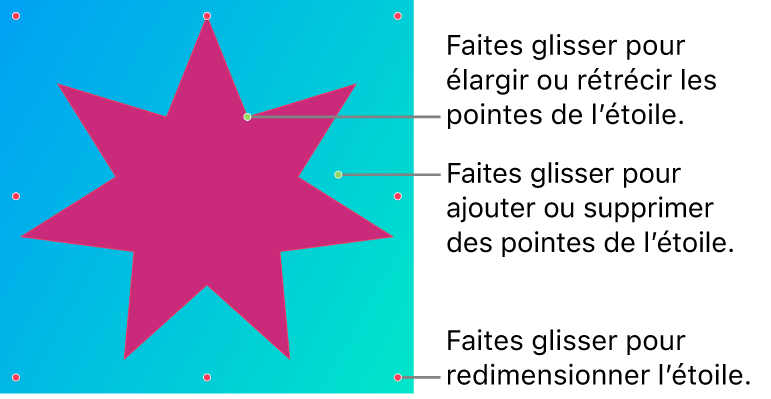 Un graphique vectoriel en forme d’étoile avec des poignées à l’écran pour le modifier.