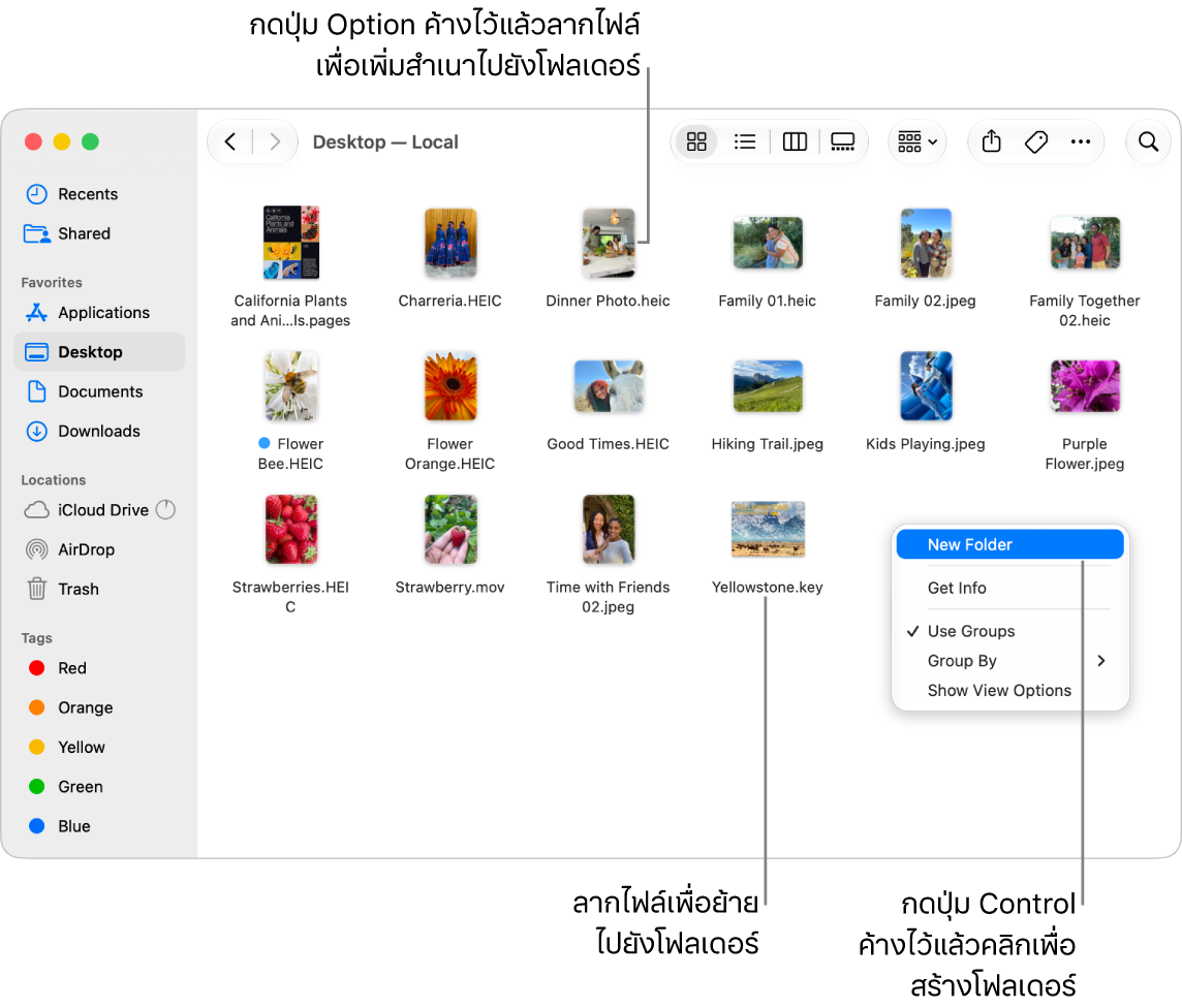 หน้าต่าง Finder ที่มีไฟล์และโฟลเดอร์ ในเมนูปุ่มลัด โฟลเดอร์ใหม่ถูกไฮไลท์อยู่