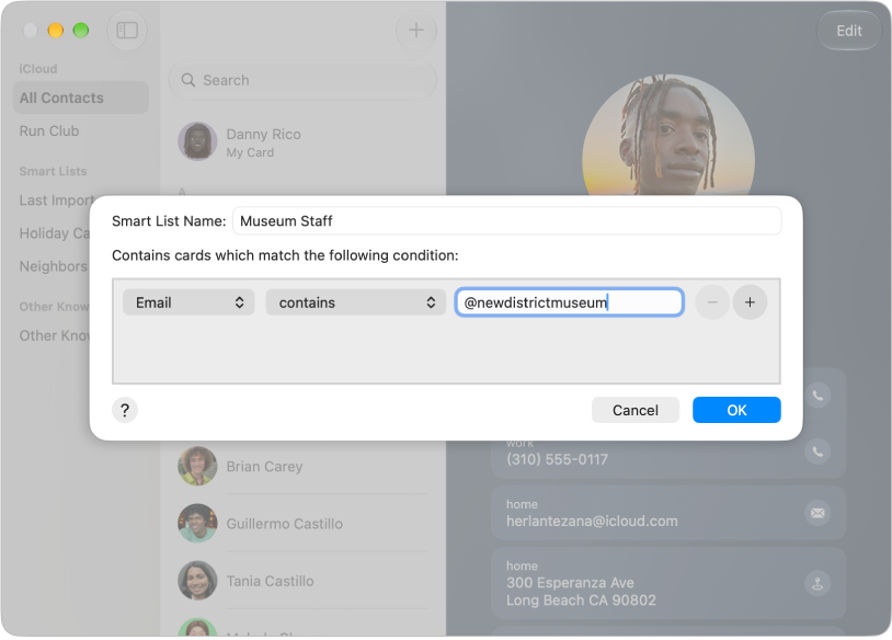 The dialog for adding a Smart List, with a condition that matches contacts by email domain.