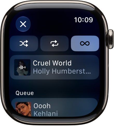 The tracklist window showing Shuffle, Repeat, and Auto Play buttons at the top, and one track directly below. Near the bottom, another track appears below Playing Next. A Close button is at the top left.