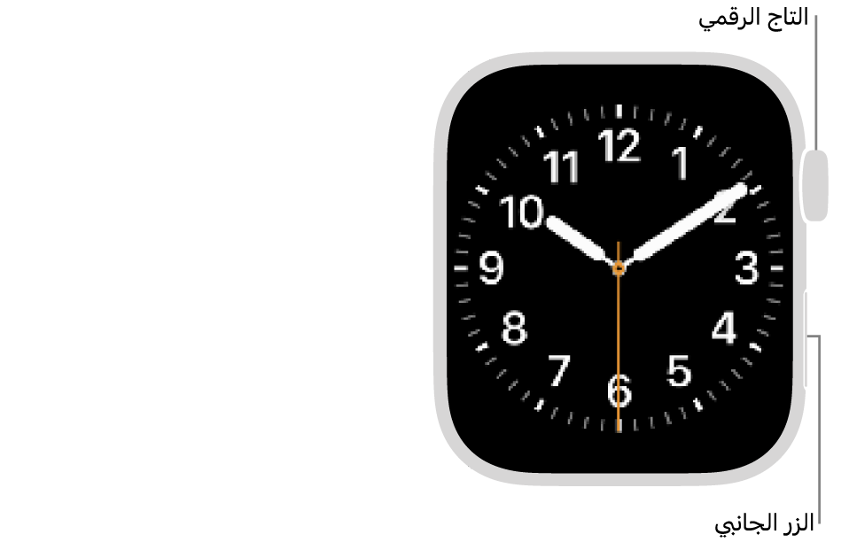 الجزء الأمامي من Apple&nbsp;Watch، ويظهر التاج الرقمي في الجزء العلوي على الجانب الأيسر من الساعة والزر الجانبي في أسفل اليسار.
