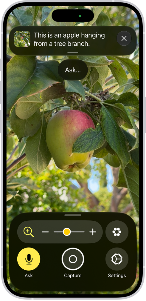The Magnifier app showing a close-up of an unripe apple.