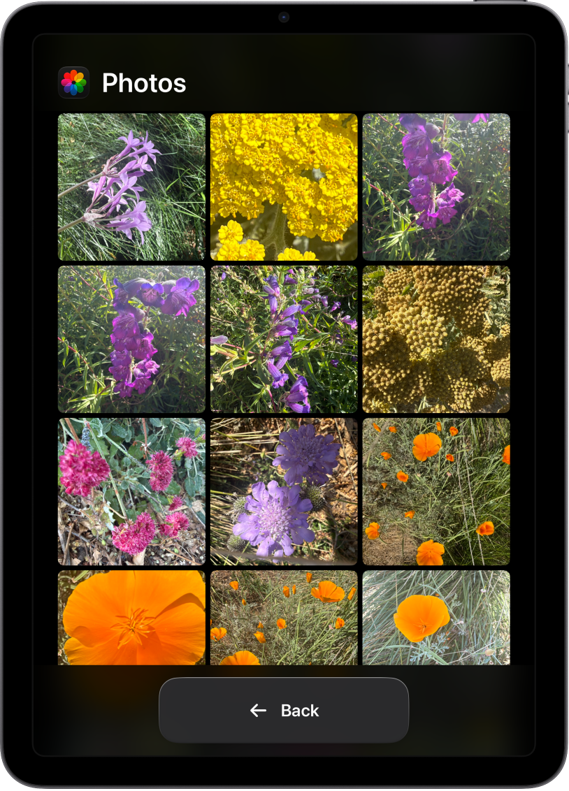 An iPad in Assistive Access with the Photos app open, showing a large grid of photos.
