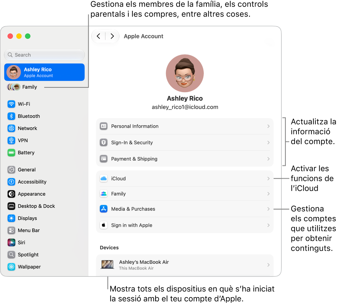 A la configuració del sistema, es veu la secció del compte d’Apple, amb opcions per actualitzar la informació del compte, activar o desactivar les funcions de l’iCloud, administrar els comptes de contingut multimèdia i ajustar la configuració d’“En&nbsp;família”, on pots gestionar els membres de la família, els controls parentals i les compres, entre altres coses.