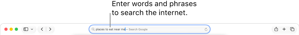 The Safari Smart Search field, where you can enter words and phrases to search the internet.