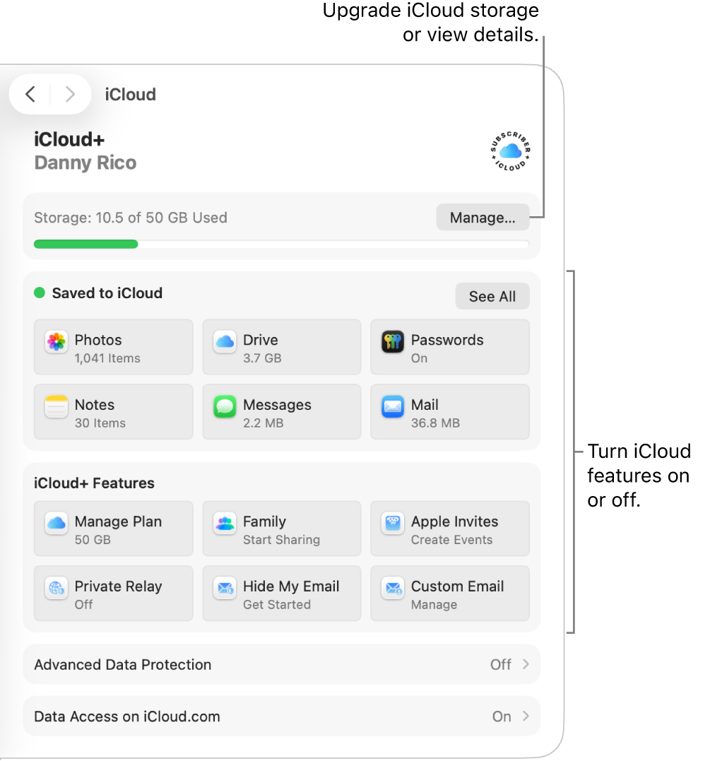 iCloud settings for the most commonly used features.
