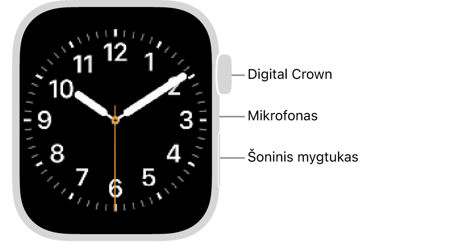 „Apple&nbsp;Watch Series&nbsp;9“ priekis, ekrane rodomas ciferblatas, taip pat matyti „Digital Crown“, mikrofonas ir laikrodžio šone nuo viršaus iki apačios išdėstytas šoninis mygtukas.