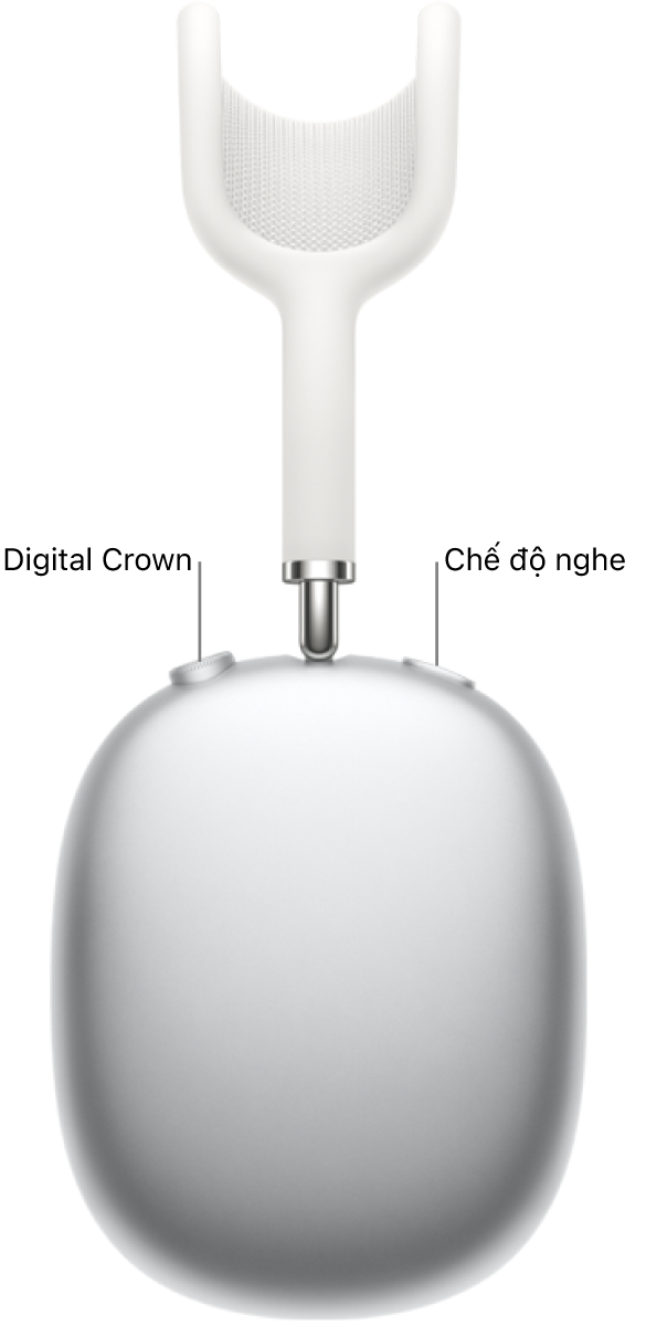 Tai nghe bên phải trên AirPods&nbsp;Max 1, đang hiển thị Digital Crown ở trên cùng bên trái của tai nghe và nút chế độ nghe ở trên cùng bên phải.