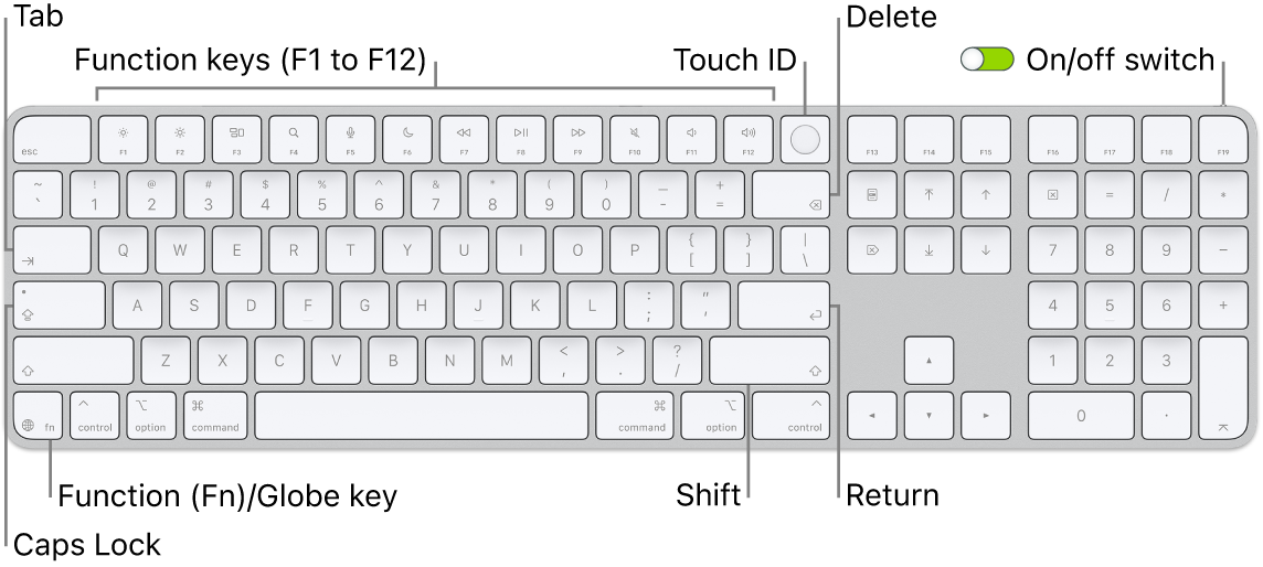 The Magic Keyboard with Touch ID and Numeric Keypad showing the row of function keys and Touch ID across the top, and the Function (Fn)/Globe key to the right of the Delete key.