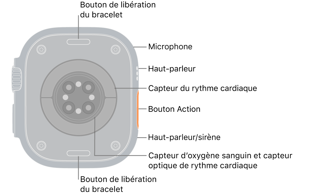 L’arrière de l’Apple&nbsp;Watch&nbsp;Ultra&nbsp;3, avec les boutons de retrait du bracelet en haut et en bas. Sur le côté se trouvent un micro, un haut-parleur, le capteur de fréquence cardiaque électrique, le bouton Action, un port de haut-parleur dédié à la sirène, les capteurs d’oxygène sanguin et les capteurs de fréquence cardiaque optiques.