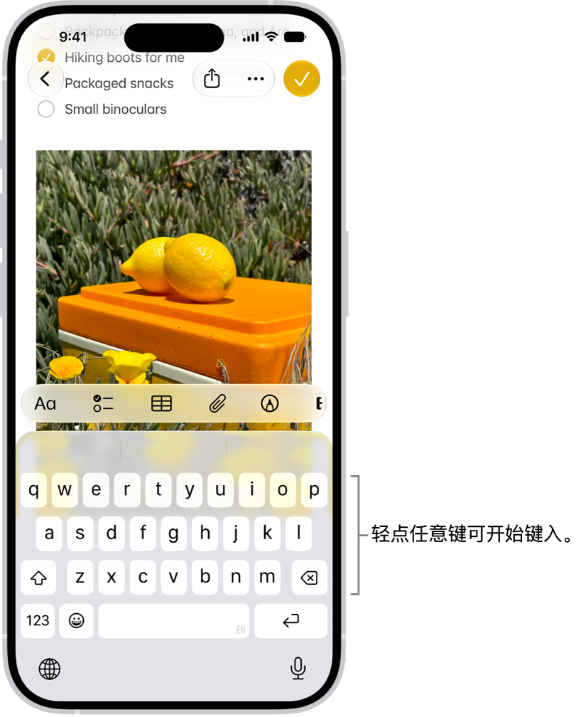 “备忘录” App 中打开的文稿。 屏幕键盘位于屏幕下半部分。