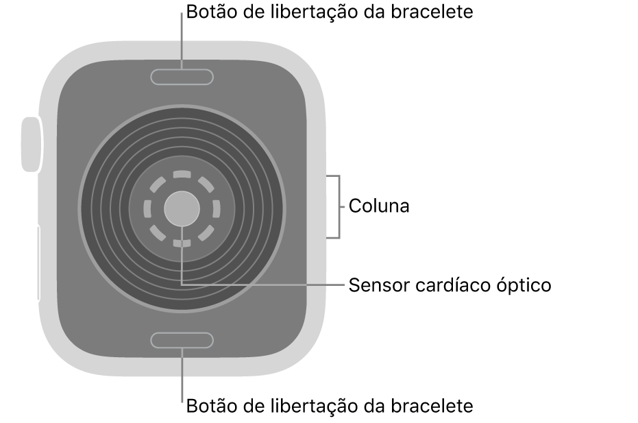 Apple&nbsp;Watch&nbsp;SE 3 visto de trás, com os botões de libertação da bracelete na parte superior e na parte inferior, o sensor cardíaco ótico ao meio, e a coluna na parte lateral.