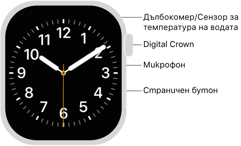 Предната страна на Apple Watch Series 12 с екран, показващ циферблат, и от горе надолу, отстрани на часовника коронката Digital Crown, микрофон и страничен бутон.
