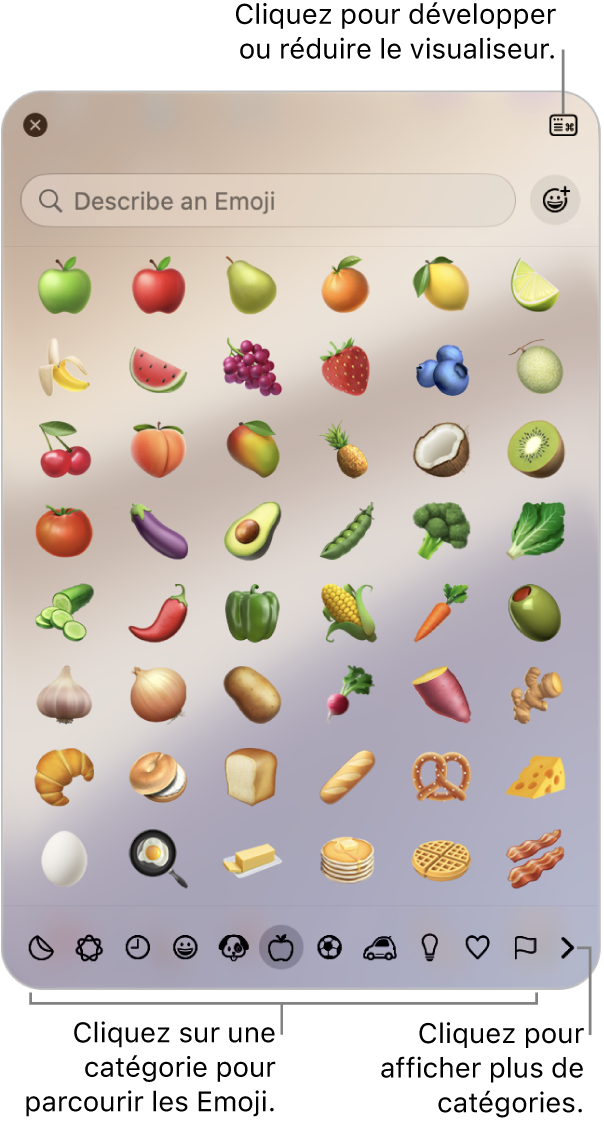 La fenêtre Visualiseur de caractères. Cliquez sur une catégorie en bas pour parcourir les caractères ou les symboles. Dans le champ de recherche, saisissez un nom ou un code de symbole pour trouver un caractère spécifique. Cliquez dans le coin supérieur droit pour développer ou condenser le visualiseur.