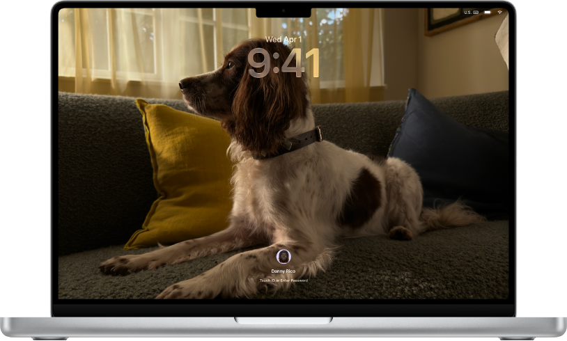 A Mac showing the Lock Screen with a photo of a cat sitting on a chair set as the desktop picture. The profile picture of the currently logged in user appears at the bottom of the screen.