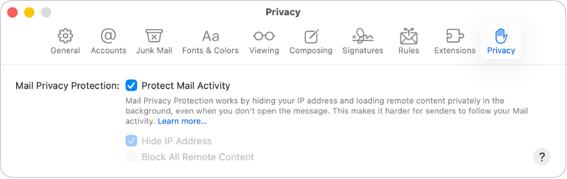 “邮件”设置中的“隐私”面板。