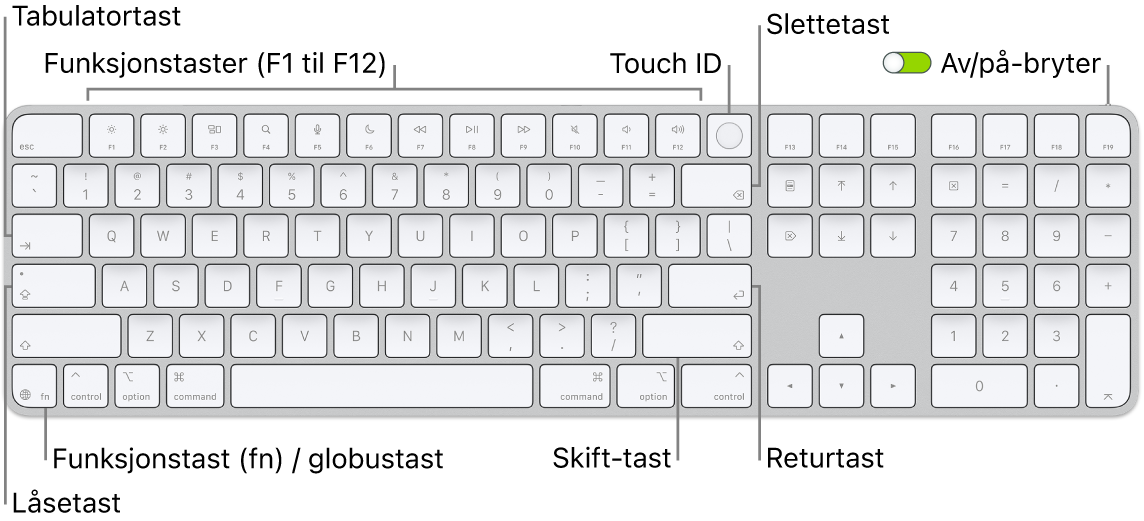 Magic Keyboard med Touch ID og talltastatur vises. Raden med funksjonstaster og Touch ID er øverst og funksjonstasten (Fn) / globustasten er til høyre for slettetasten.