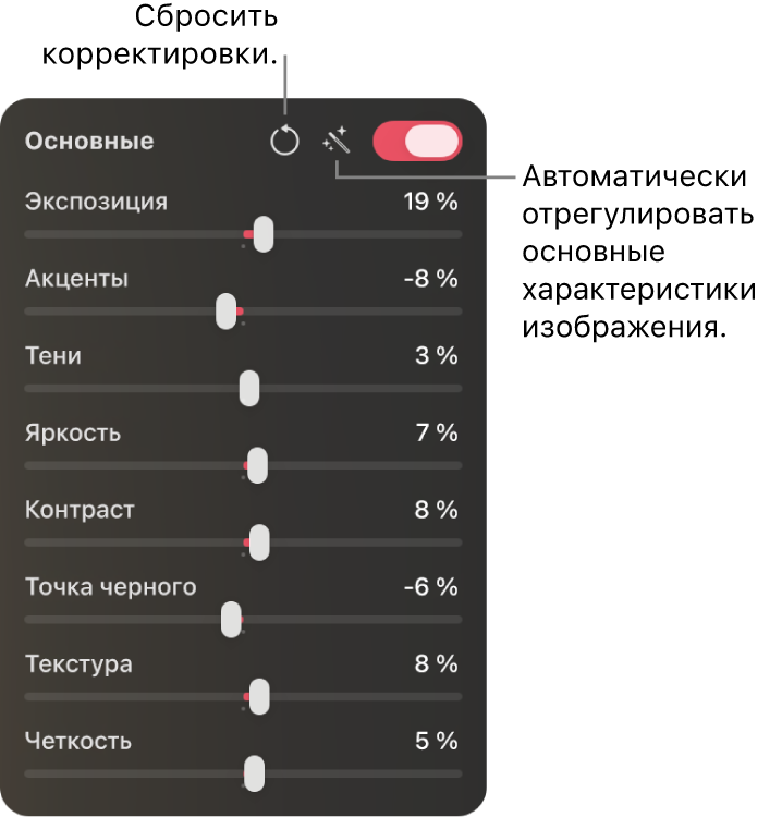 Раздел настроек «Основные» в&nbsp;панели «Цветокоррекция». Отображаются слайдеры «Экспозиция», «Темные участки», «Светлые участки» и&nbsp;«Яркость», а&nbsp;также другие параметры.