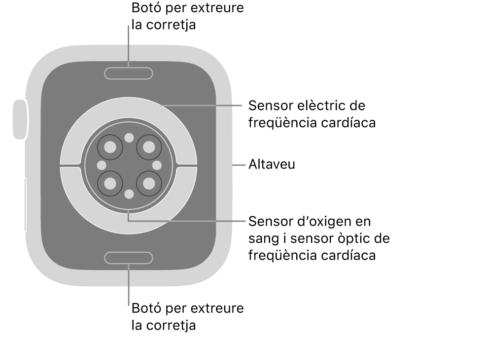 La part de darrere de l’Apple&nbsp;Watch&nbsp;Series&nbsp;9 mostra els botons per obrir la corretja a dalt i a baix; els sensors elèctrics cardíacs, els sensors òptics cardíacs i els sensors d’oxigen en sang al mig, i l’altaveu a la part lateral del rellotge.