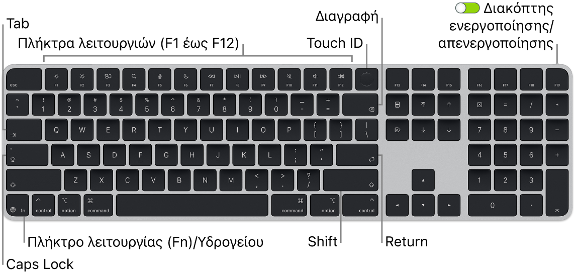 Το Magic Keyboard με Touch ID και αριθμητικό πληκτρολόγιο όπου φαίνονται η σειρά πλήκτρων λειτουργιών και το Touch ID στο πάνω μέρος, και το πλήκτρο Function (Fn)/Υδρογείου κάτω αριστερά.