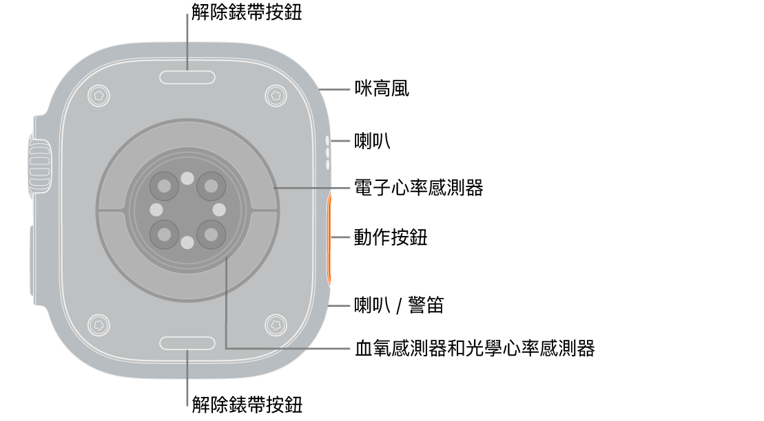 Apple Watch Ultra 3 的背面，在頂部和底部的解除錶帶按鈕。側邊為咪高風、喇叭、電子心率感測器、動作按鈕、發出警笛聲音的喇叭埠、血氧感測器，以及光學心率感測器。