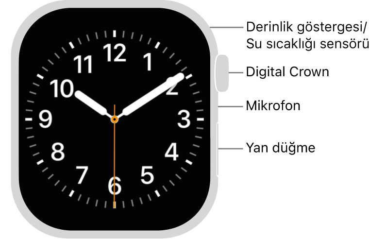 Saatin yan tarafında yukarıdan aşağıya saat kadranını gösteren ekran, Digital Crown, mikrofon ve yan düğme ile Apple&nbsp;Watch Series&nbsp;12’nin önü.