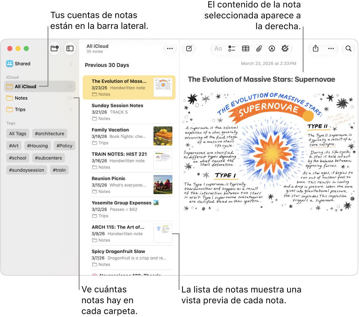 Ventana de la app Notas del Mac con una lista de todas tus cuentas y carpetas configuradas en la barra lateral a la izquierda, la lista de notas en el centro con una previsualización de cada nota y el contenido de la nota seleccionada a la derecha. El número de notas se muestra al lado de cada carpeta.