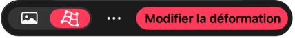 Barre d’outils située en bas de la zone de travail avec des options pour modifier la grille de déformation.