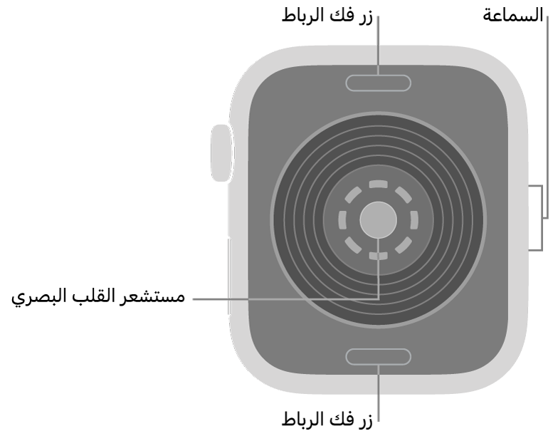 الجزء الخلفي من Apple&nbsp;Watch&nbsp;SE&nbsp;3 ويظهر به زرا تعديل السوار في الأعلى والأسفل ومستشعر القلب البصري في المنتصف والسماعة على الجانب.