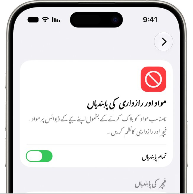 “مواد اور رازداری کی پابندیاں” اسکرین۔