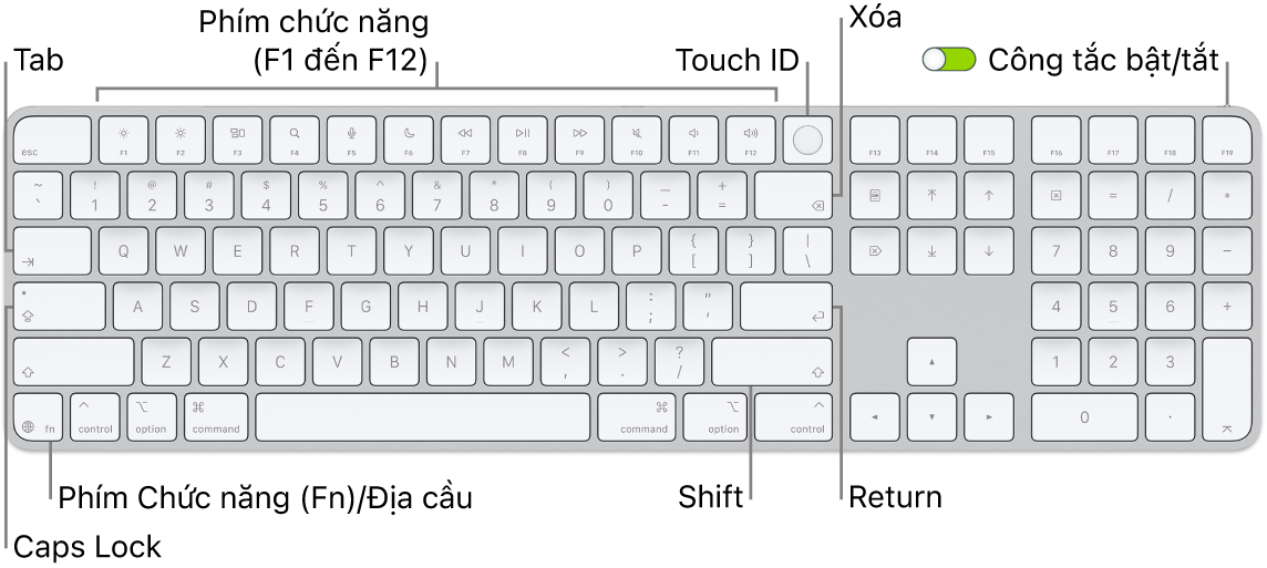 Magic Keyboard có Touch ID và Bàn phím số đang hiển thị hàng các phím chức năng, Touch ID ở trên cùng và phím Chức năng (Fn)/Địa cầu ở bên phải của phím Delete.