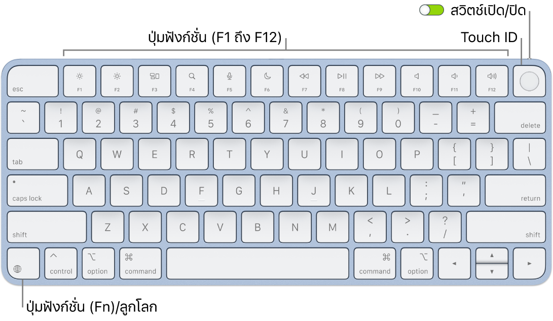 Magic Keyboard พร้อม Touch ID ที่แสดงแถวของปุ่มฟังก์ชั่นและ Touch ID ตลอดแนวด้านบนสุด และปุ่มฟังก์ชั่น (Fn)/ปุ่มลูกโลกที่มุมซ้ายล่าง