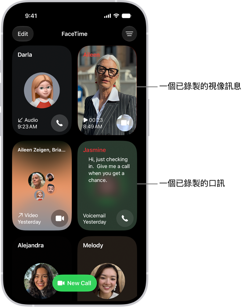 FaceTime 通話記錄，其中顯示建議的聯絡人、已錄製的視像訊息、口訊，以及群組 FaceTime 視像通話。