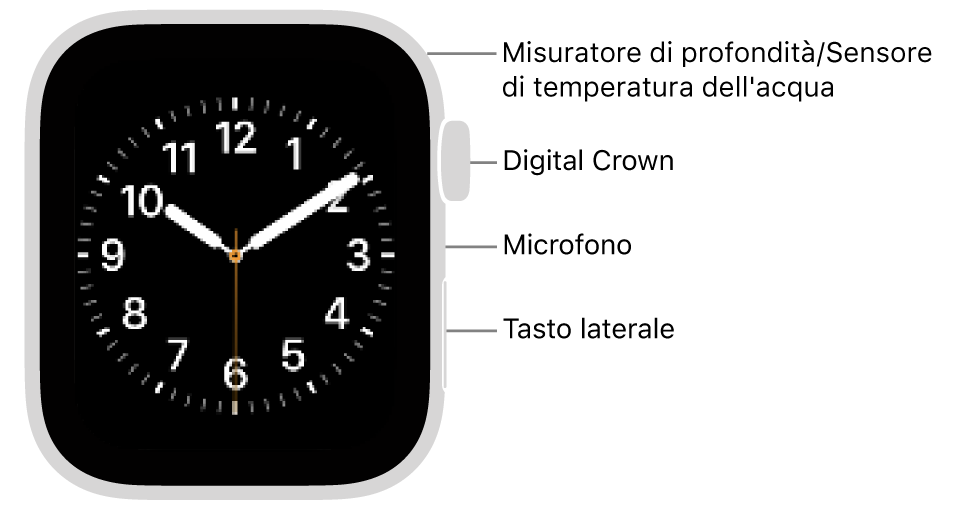 Apple&nbsp;Watch&nbsp;SE&nbsp;3 visto da davanti, con, dall’alto verso il basso, lo schermo che mostra il quadrante, la Digital Crown, il microfono e il pulsante laterale.