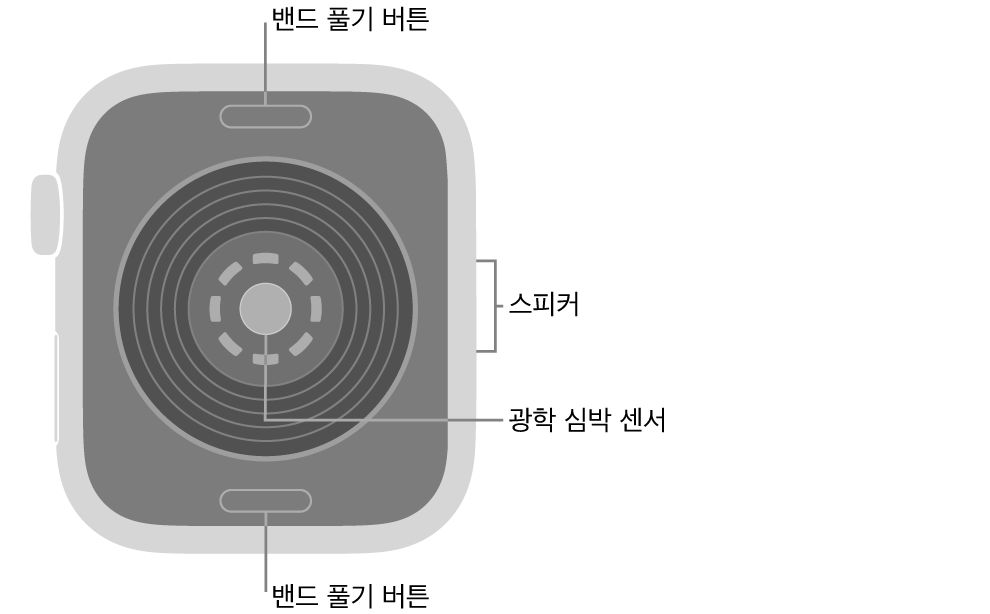 상단 및 하단에 밴드 풀기 버튼, 중앙에 광학 심장 센서, 측면에 스피커가 보이는 Apple&nbsp;Watch SE&nbsp;3의 후면.