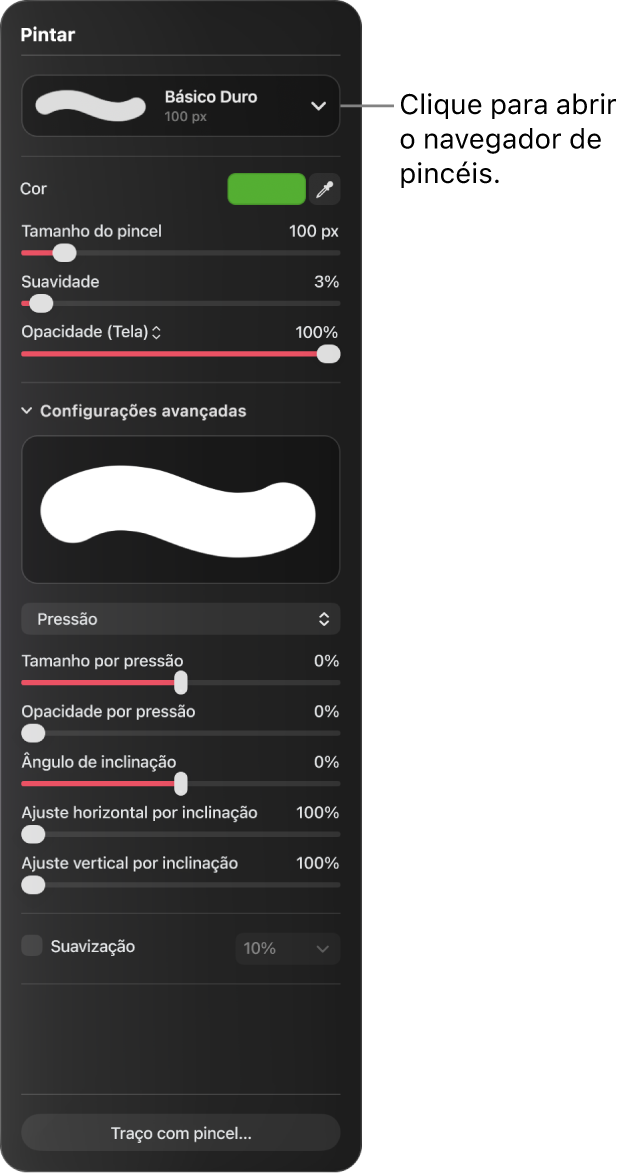 O painel Pintar mostrando os controles de tamanho, suavidade, opacidade e outros ajustes de pincel.