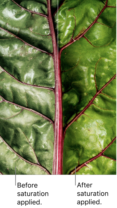 A close-up photo of a green leaf with a before-and-after view of the saturation adjustment.