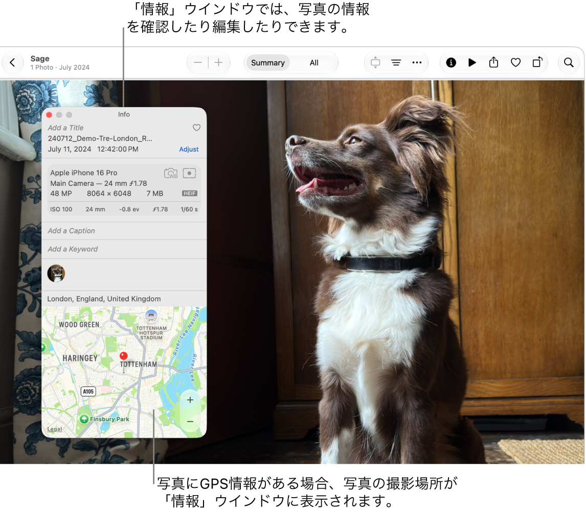 写真の「情報」ウインドウに、写真の撮影日時、写真を撮影したデバイスの情報、写真の位置情報などが表示されています。