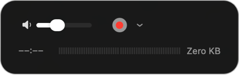 The recording controls, including the volume control and the Record button.