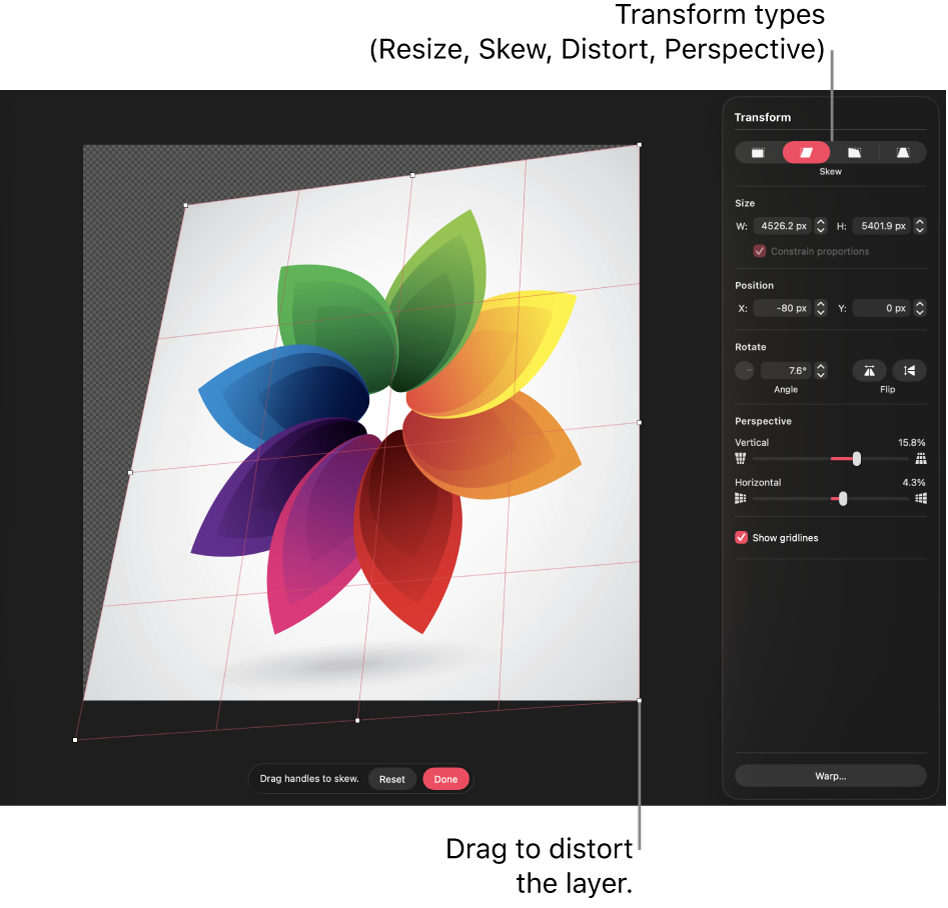 A layer in the canvas with a distortion adjustment applied, alongside the Transform pane.