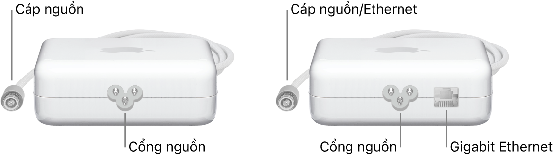 Một bộ tiếp hợp nguồn không có cổng Ethernet và một bộ tiếp hợp nguồn có cổng Ethernet.