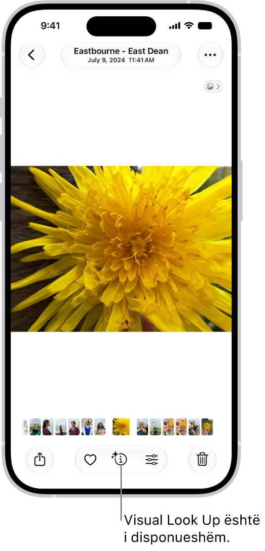 Një foto është e hapur në aplikacionin Photos. Në fund të ekranit, butoni Info shfaq një ikonë që tregon se informacionet e Visual Look Up janë të disponueshme.