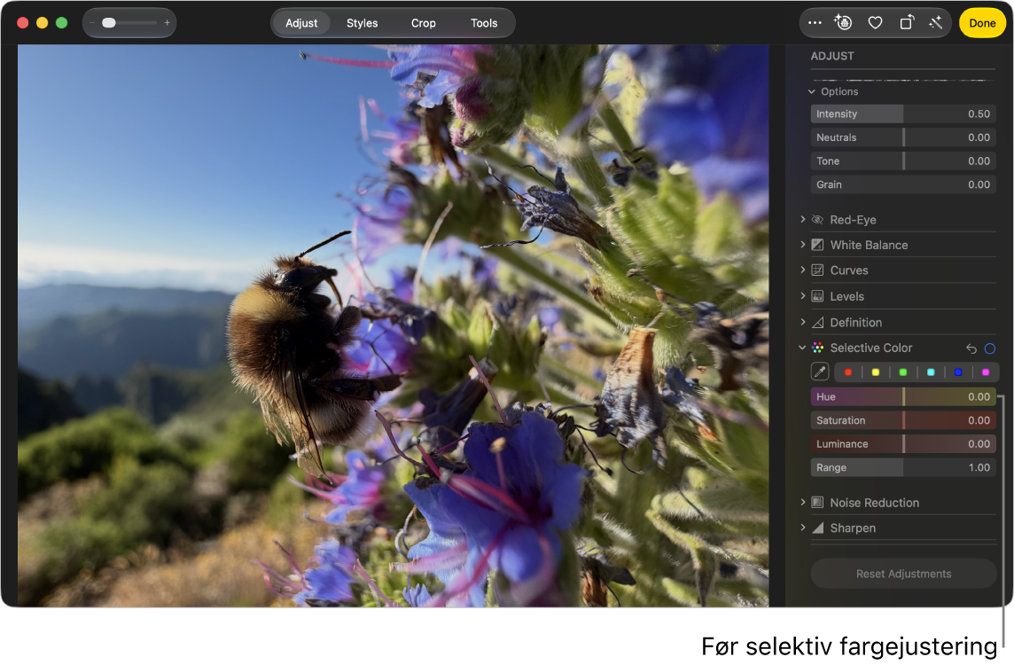 Et bilde før en selektiv fargejustering.