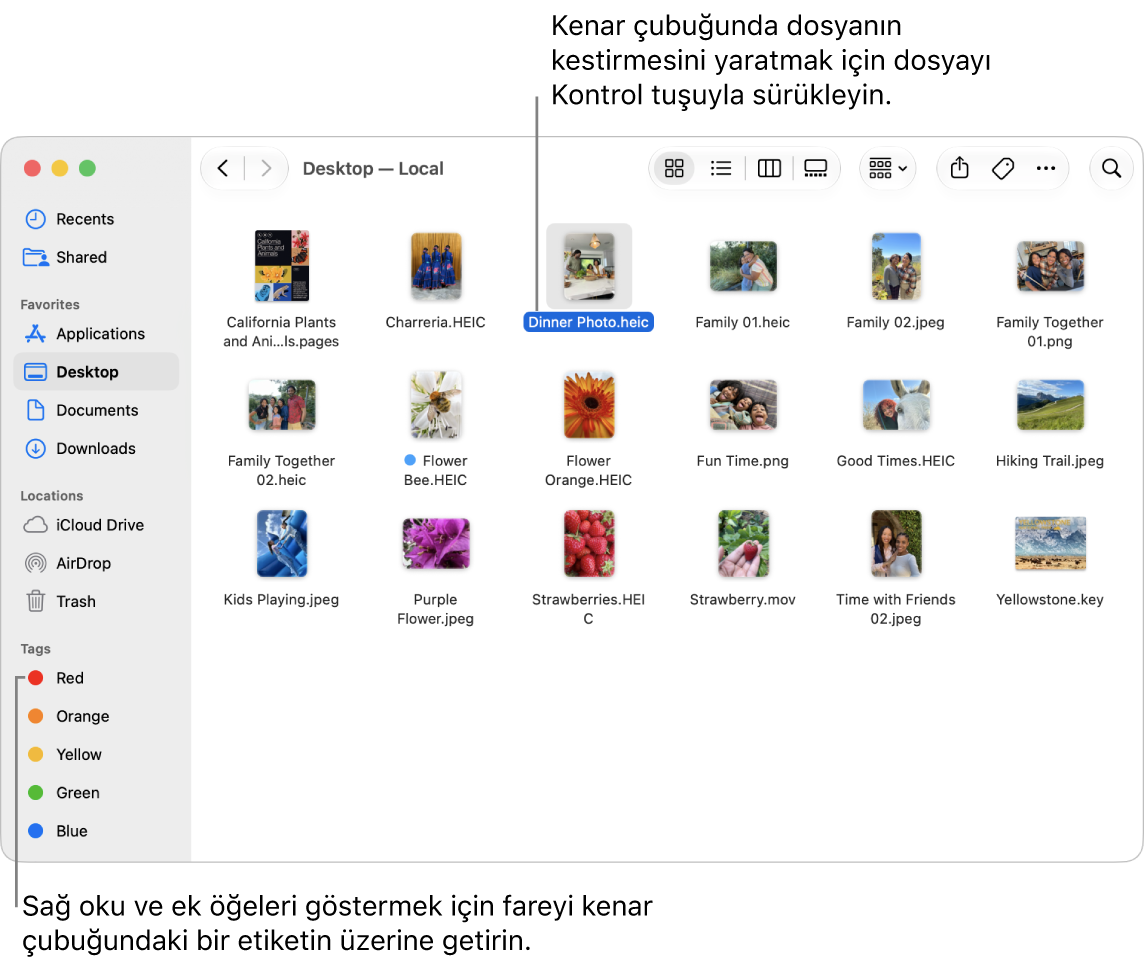 Finder kenar çubuğundaki Konumlar’ın sağ tarafında ek öğeleri göstermek için tıklayabileceğiniz bir ok var. Sağdaki Finder penceresinde bir dosya seçili ve kenar çubuğundaki Favoriler’in alt tarafında dosyanın bir kestirmesi var.