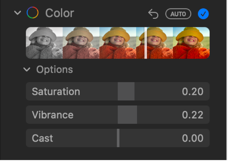 The Color area of the Adjust pane, showing sliders for Saturation, Vibrance, and Cast.