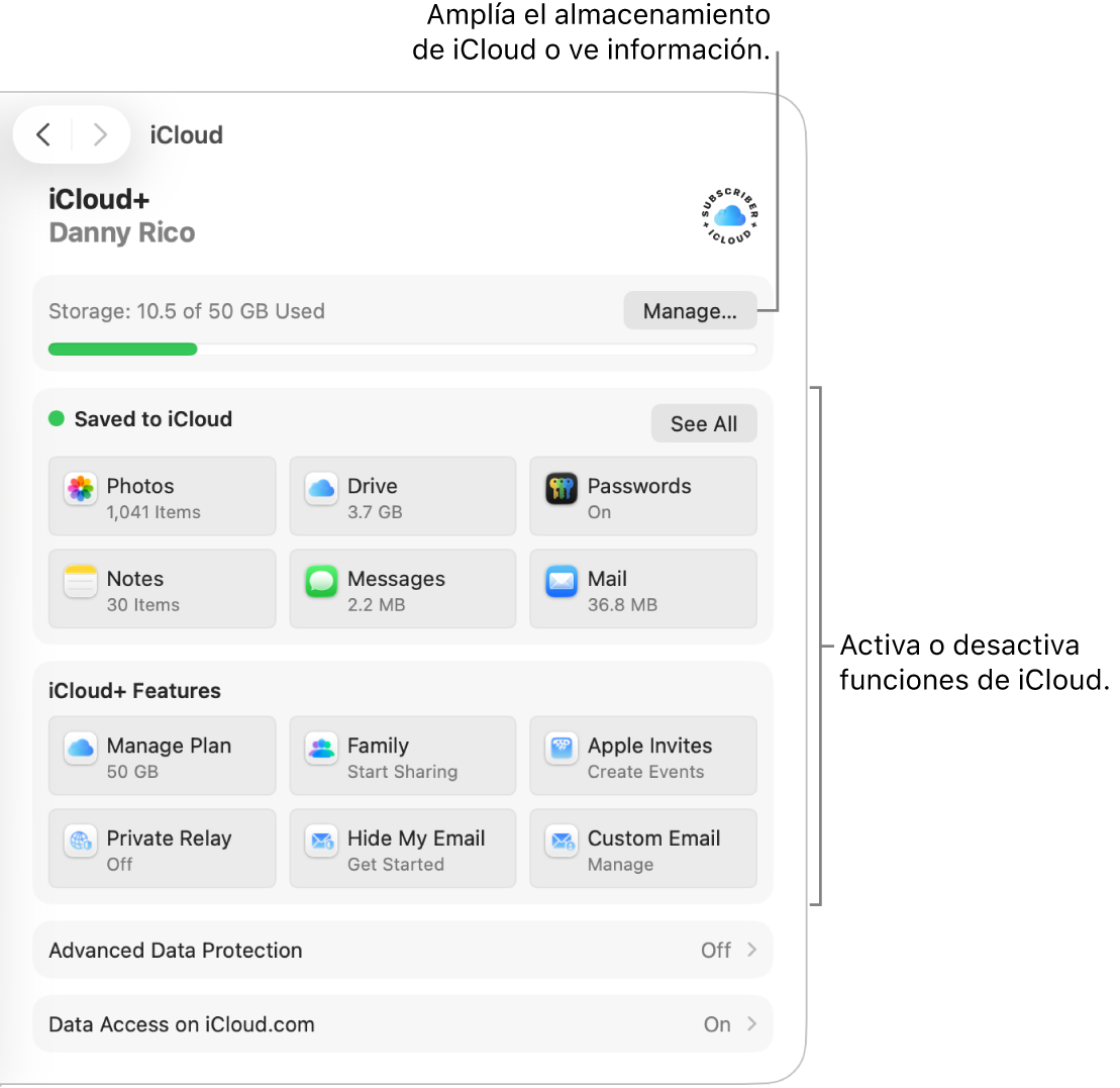 La configuración de iCloud para las funciones más usadas.