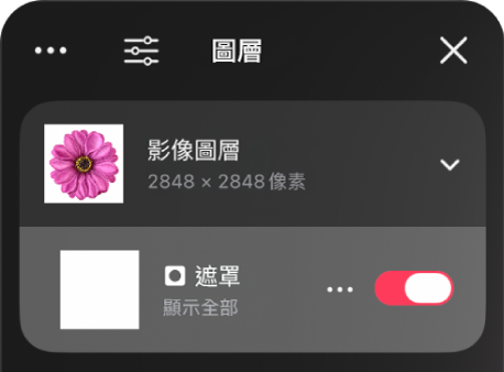 「圖層」側邊欄中的遮罩圖層